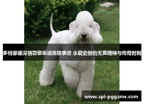 多特蒙德深情致敬泰迪英雄事迹 永载史册的无畏精神与传奇时刻