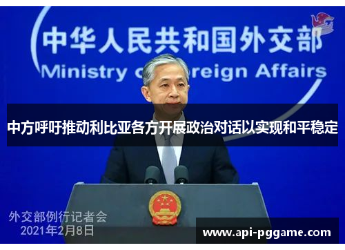 中方呼吁推动利比亚各方开展政治对话以实现和平稳定