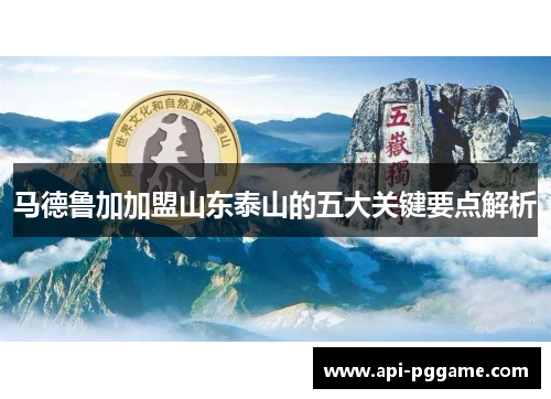 马德鲁加加盟山东泰山的五大关键要点解析